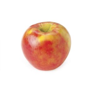 Honey crisp apple