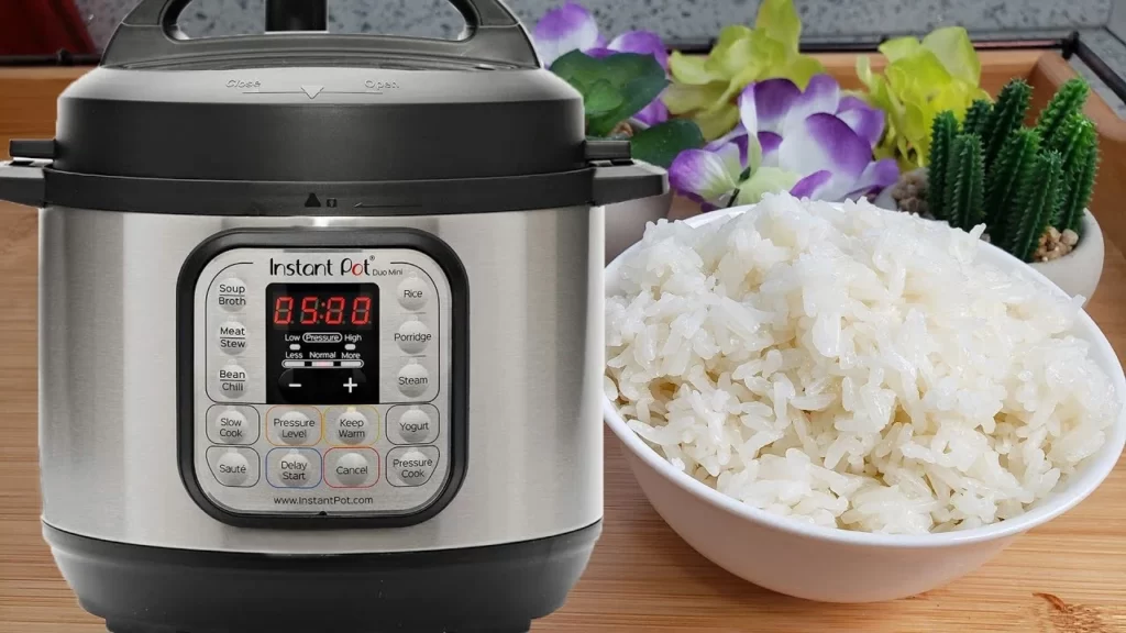 instant pot rice