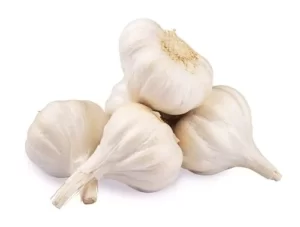 Garlic 