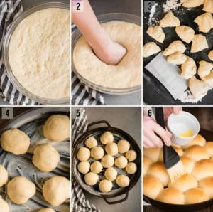 Homemade Dinner Rolls