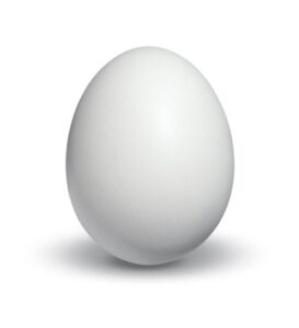 egg